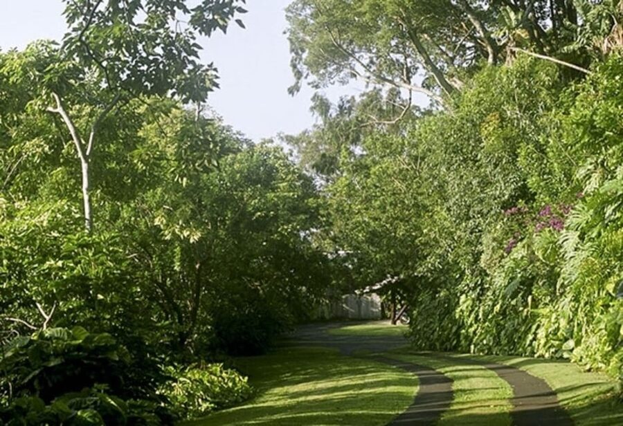 Honolulu: Liljestrand House Architectural Tour - The family story and why preservation matters