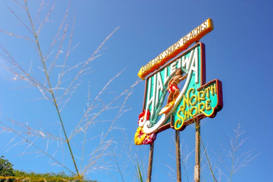 Honolulu: Oahu Island Full-Day Guided Tour by Bus with Lunch - North Shore Surf Beaches: The “See It From the Road” Advantage