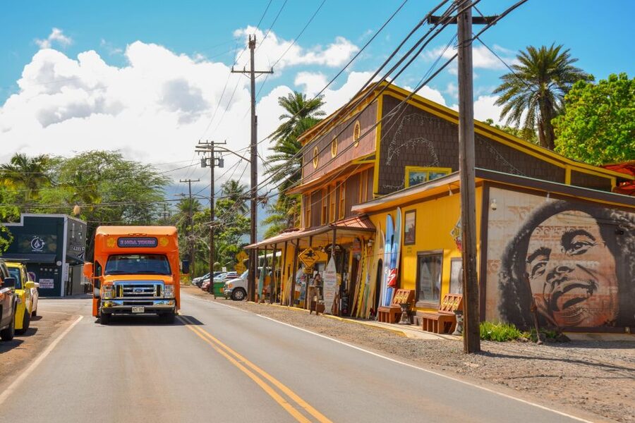 Honolulu: Oahu Island Full-Day Guided Tour by Bus with Lunch - Dole Plantation: Pineapples, Sugarcane, and the Extra-Option Reality