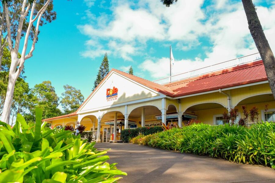 Honolulu: Oahu Island Full-Day Guided Tour by Bus with Lunch - Lunch on Your Schedule: What to Expect