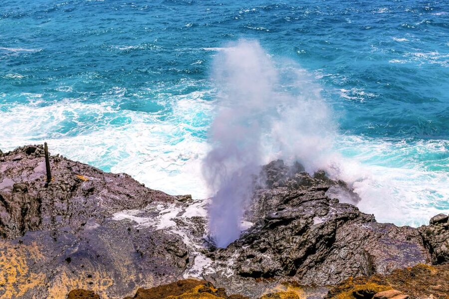 Honolulu: Oahu Sights and Bites Circle Island Foodie Tour - Diamond Head Lookout, Early Views, and Kamehameha Bakery Poi Donuts