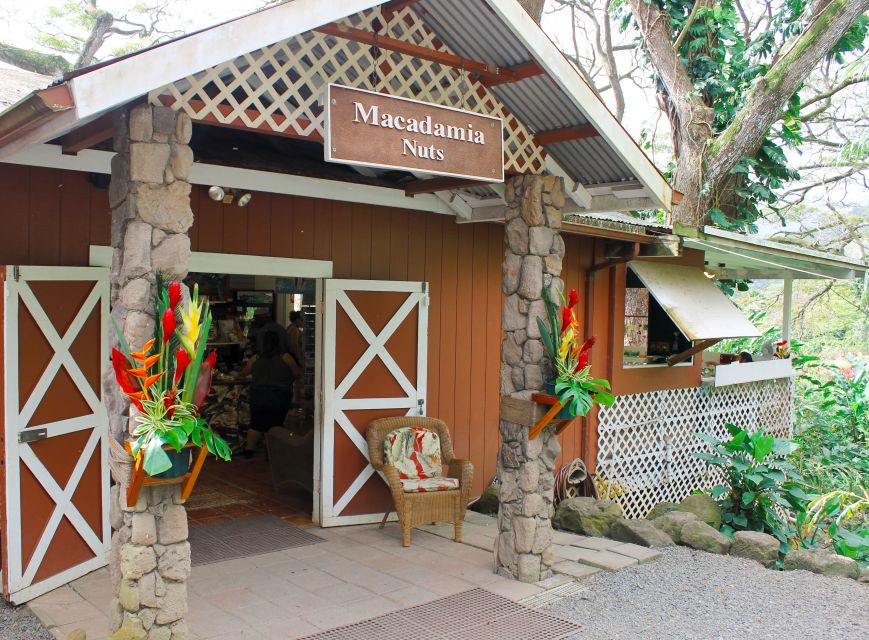 Honolulu: Oahu Sights and Bites Circle Island Foodie Tour - Halona Blowhole, Hanauma Bay Lookout, and Whale or Turtle Spotting