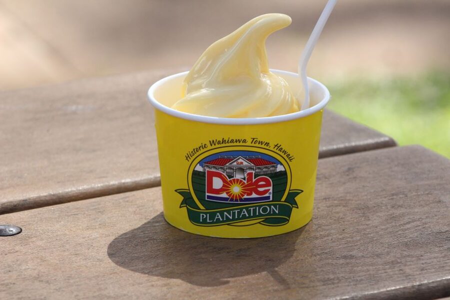 Honolulu: Oahu Sights and Bites Circle Island Foodie Tour - Secret Stops and Hidden Photo Breaks That Keep the Drive Interesting