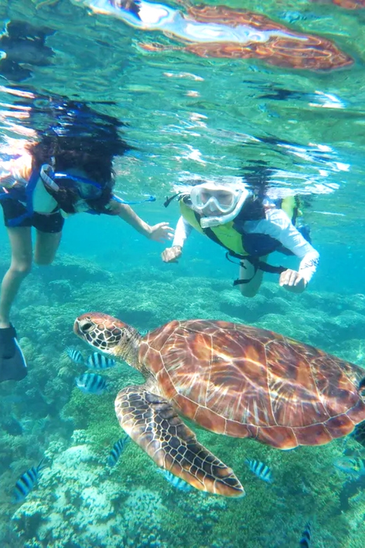 Honolulu, Oahu: Waikiki Turtle Snorkel Tour w/Shuttle Option - What You’re Covered For On Board: Bathrooms, Water, Juice, and Snacks