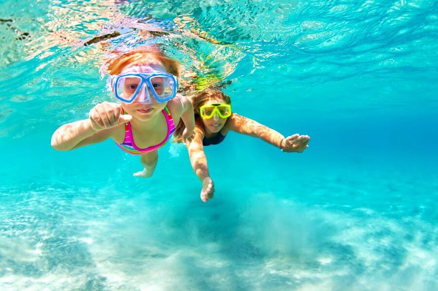 Honolulu, Oahu: Waikiki Turtle Snorkel Tour w/Shuttle Option - The Meeting Point at 1025 Ala Moana Boulevard, Pier E
