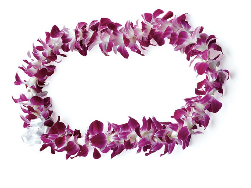 Honolulu: Private Airport Transfer with Arrival Lei Greeting - From Plane Wheels to Waikiki Front Door