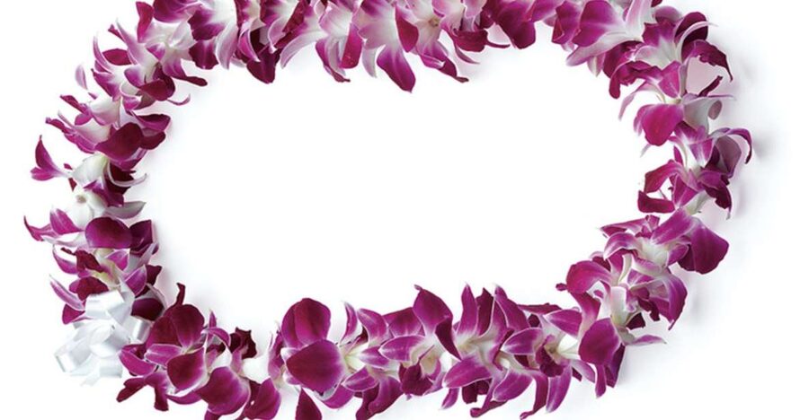 Honolulu: Private Airport Transfer with Arrival Lei Greeting - Getting Met Fast: The Sign, the Spot, and the Luggage Help