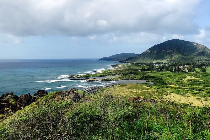 Honolulu Private Walking Tour with a Local - Starting at Cathedral Basilica of Our Lady of Peace, Then Getting Your Bearings
