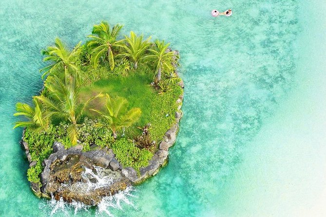 Honolulu Private Walking Tour with a Local - Price and Value: Is $55 a Smart Deal Here?