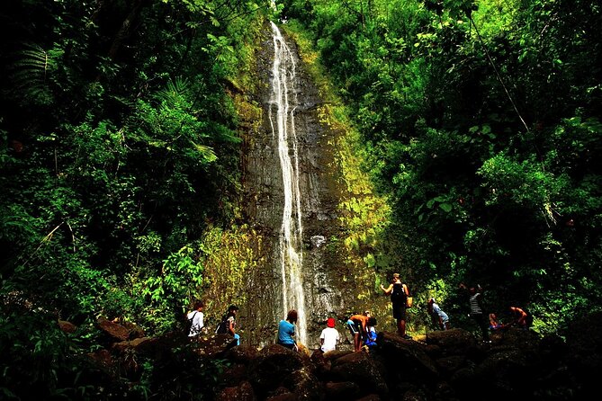 Honolulu Rainforest Self-Guided Audio Tour - Manoa Marketplace Farmer’s Market, short break, easy reset