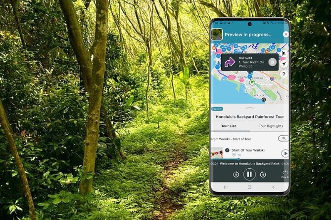 Honolulu Rainforest Self-Guided Audio Tour - Waikiki to Manoa Falls, the jungle intro that feels close