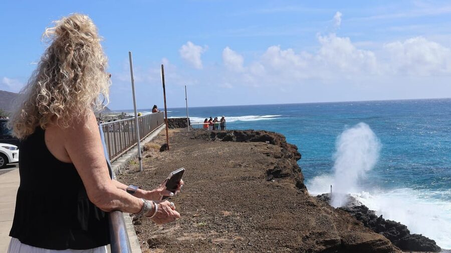 Honolulu: Stunning Views of Oahu! Half-day Scenic Tour - Should you book this Honolulu Oahu half-day scenic tour?