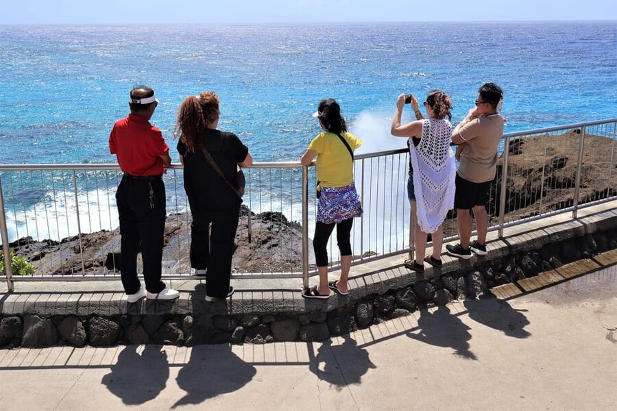 Honolulu: Stunning Views of Oahu! Half-day Scenic Tour - Guides who actually make the drive feel short