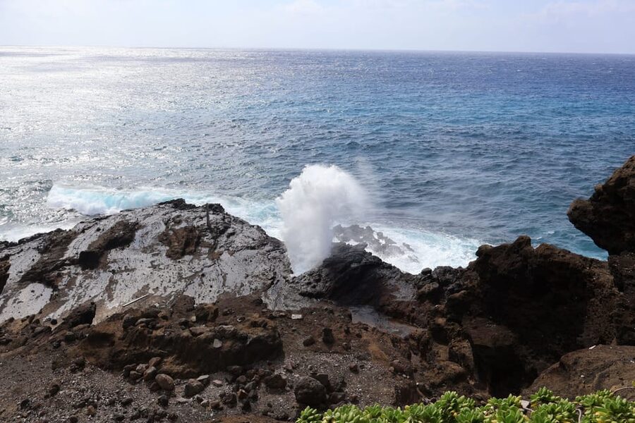 Honolulu: Stunning Views of Oahu! Half-day Scenic Tour - Who this Honolulu scenic tour is best for