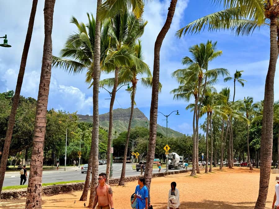 Honolulu: Waikiki Food Tour with Local Guide - Who should book this Waikiki food tour
