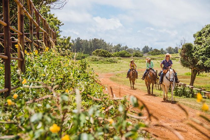 Horseback Ride Like an Authentic Paniolo in Kahuku - Key things to know before you ride