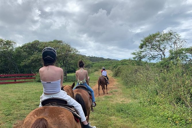 Horseback Ride Like an Authentic Paniolo in Kahuku - Who This Horseback Ride Is Best For (And When to Consider Alternatives)
