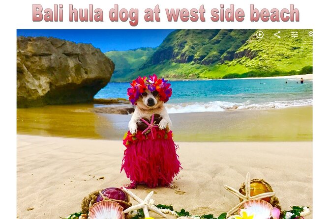 Incredible west side hidden gems -PLEASE CONTACT BEFORE BOOKING - Pray for Sex Beach: Deep Sand, Local Vibes, and Real Breathing Room