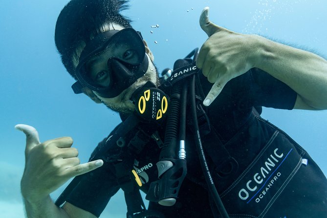 Incredibly Fun Coral Reef Giant Sea Turtles 4hour Boat Scuba Tour - What you actually see: sea turtles and more in the open ocean