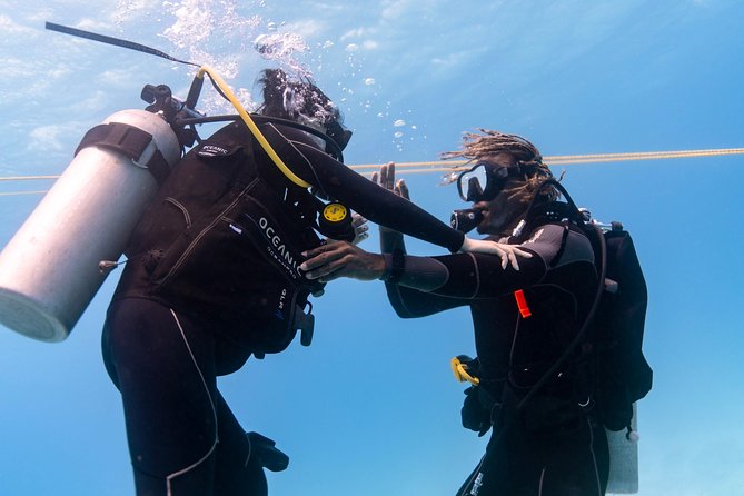 Incredibly Fun Coral Reef Giant Sea Turtles 4hour Boat Scuba Tour - Safety and medical screening: no shortcuts, and that is a good thing