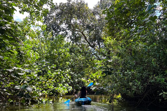 Kahana Bay River to Ocean: Kayak and Stand Up Paddle Board Rental - Key Highlights You’ll Feel Right Away