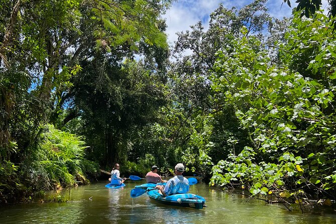 Kahana Bay River to Ocean: Kayak and Stand Up Paddle Board Rental - Should You Book Kahana Adventures for a River to Ocean Paddle?