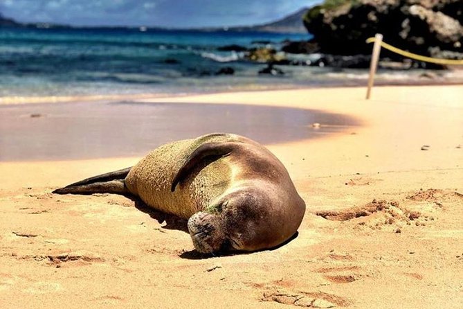 Kailua Bay, Oahu: Epic Kayak and Snorkel to Islands - Kailua Bay is the kind of place that makes kayaking feel easy