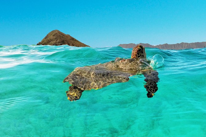 Kailua Bay, Oahu: Epic Kayak and Snorkel to Islands - Paddle to Lanikai Beach: the calm-to-clear payoff