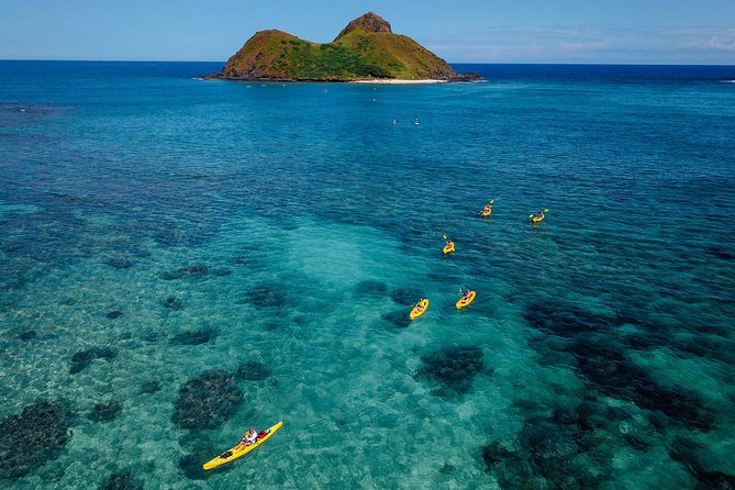 Kailua Bay, Oahu: Epic Kayak and Snorkel to Islands - Mokulua Islands and Popoia Island: the bird sanctuary part that feels special