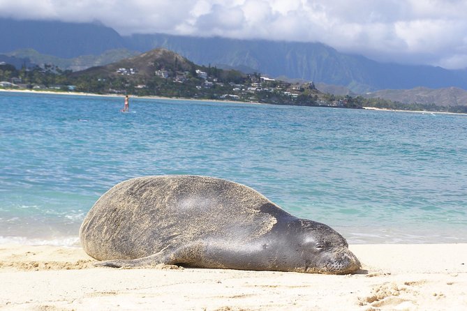 Kailua Bay, Oahu: Epic Kayak and Snorkel to Islands - The physical reality: a workout, plus a few moments you should plan for