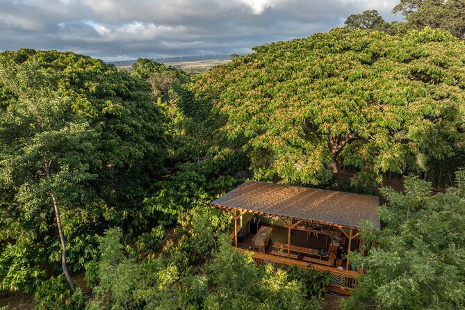 Kamananui Cacao Orchard Tour - The small-group format that makes questions easy