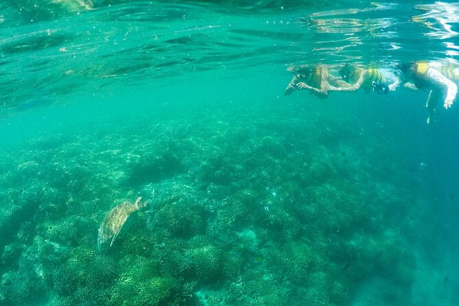 Kaneohe Sandbar Snorkeling Tour - 1st Tour - Sandbar hangout: walking on sand, shallow water play, and real downtime