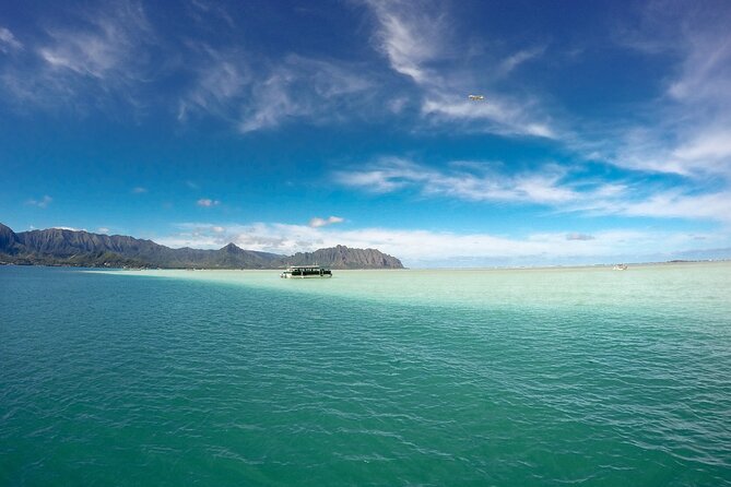 Kaneohe Sandbar Snorkeling Tour - 2nd Tour - Price and value: is $158.86 per person a smart spend?