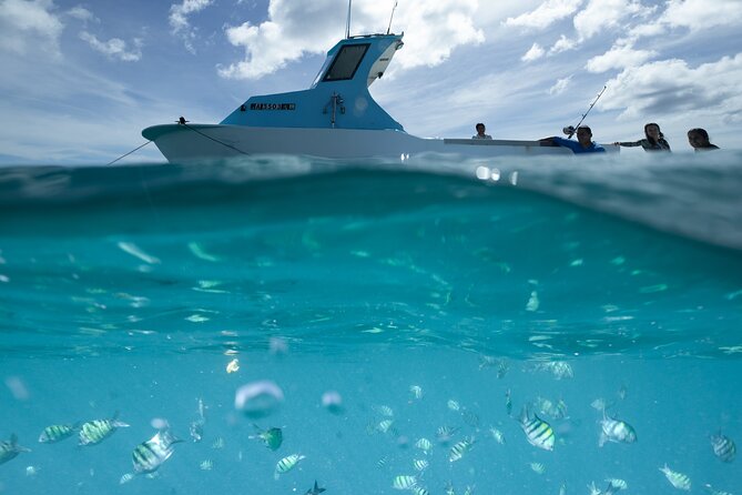 Kayak, Snorkel, and Surf with Turtles in Honolulu - Entering the Day: Why This Trip Works So Well From Waikiki