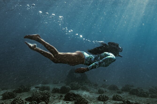 Kayak, Snorkel, and Surf with Turtles in Honolulu - Shipwreck Remnants: A Second Snorkel Stop With a Change of Pace