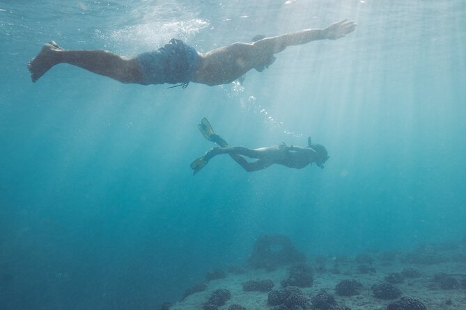 Kayak, Snorkel, and Surf with Turtles in Honolulu - Surf Time With Shane and Captain Neil: Instruction You Can Actually Use