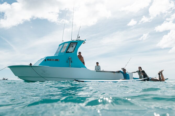 Kayak, Snorkel, and Surf with Turtles in Honolulu - The 3-Hour Flow, Scheduled to Keep You Moving