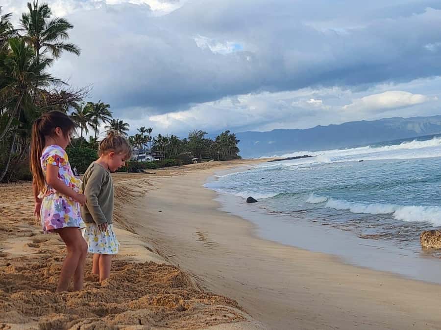 Kevo's Beach Bus - Pipeline Beach: surf spectacle, even when you’re not surfing