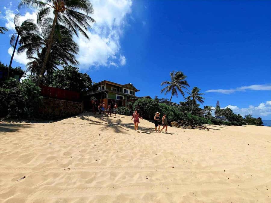 Kevo's Beach Bus - Dole Plantation: pineapples, Dole Whip, and one last food win