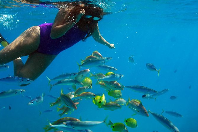 Ko Olina Catamaran Sail and Snorkel with Lunch - Lunch and Drinks After the Water: What You’ll Eat, When, and How It Feels