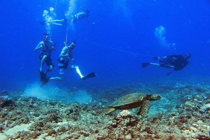 Ko Olina Catamaran Sail and Snorkel with Lunch - Price and Value: What $195 Buys You Here