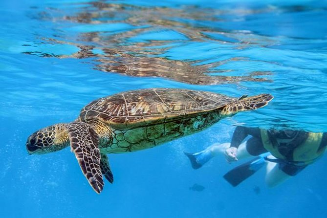 Ko Olina Catamaran Sail and Snorkel with Lunch - Who Should Book This Catamaran Snorkel Experience
