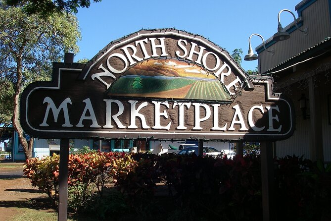 Ko Olina to North Shore Experience -Waimea Falls, Beaches & more - Waimea Waterfall and Polynesian plants: the day’s most memorable swim
