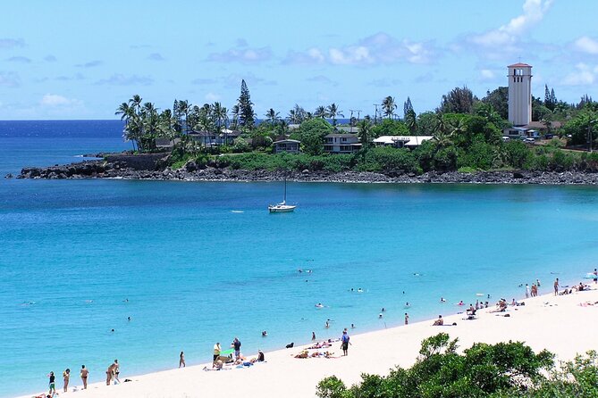 Ko Olina to North Shore Experience -Waimea Falls, Beaches & more - North Shore water time: Waimea Bay, turtles, and your activity choices