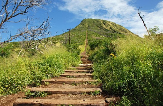 Koko Head E-Bike Ride and Hike Tour - Key highlights that make this tour worth your time