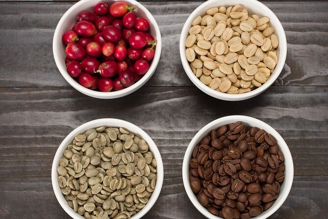 Kona Coffee Tasting: A Farm to Cup Experience - The three-coffee flight, and how to taste like you mean it