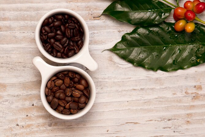 Kona Coffee Tasting: A Farm to Cup Experience - Good for beginners, and still interesting for coffee people