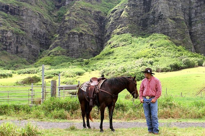 Kualoa Ranch - Horseback Walking Tour - How the ride feels in your body: pace, safety, and first-timer comfort