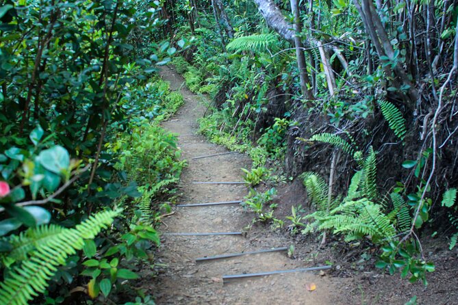 Kualoa Ranch: Jungle Expedition Tour - Mokoli’i Island (Chinaman’s Hat) and Kaneʻohe Bay