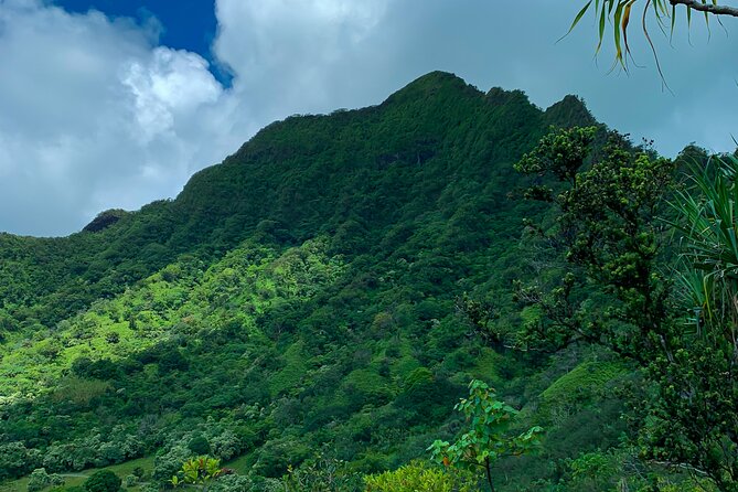 Kualoa Ranch: Jungle Expedition Tour - The Jurassic Park Question: Set Expectations Early